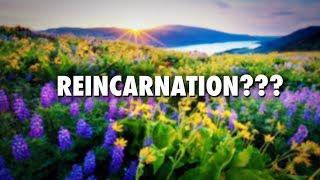 Reincarnation Question With Psychic Medium Susan Rowlen