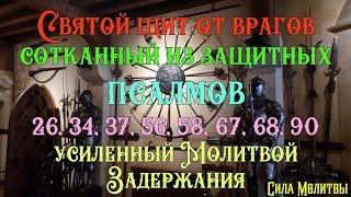  Святой щит от врагов из защитных псалмов усиленный Молитвой Задержания, Учим молитву #православие