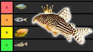 Ranking The BEST Community Fish