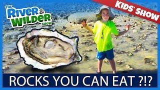 KIDS LEARN HOW TO EAT BEACH ROCKS ?!? | KIDS TV