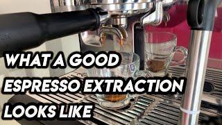 Demonstration of a Perfect Espresso Extraction