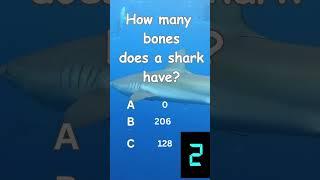 SHARK TRIVIA: How many bones does a shark have? #quiz #trivia #viralshorts