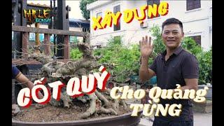 Xây dựng cốt quý cho '' QUẢNG TÙNG '' | NamLe Bonsai