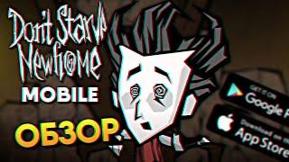 Обзор мобильной игры Don't Starve Newhome на Андроид и iOS / Донт Старв Нью Хоум Мобайл