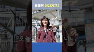 미어캣이 미어캣인 이유 #아재개그 #shorts