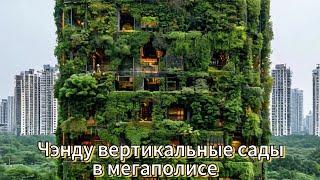 Вертикальные сады в мегаполисе