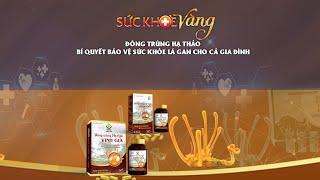 ĐÔNG TRÙNG HẠ THẢO – BÍ QUYẾT BẢO VỆ SỨC KHỎE LÁ GAN CHO CẢ GIA ĐÌNH