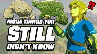 18 MORE Things You STILL Didn't Know In Zelda Breath Of The Wild