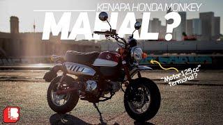 Kenapa Honda Monkey Mahal ?? | Motor Kecil 125CC 80Jt ++ Rugi Dong 