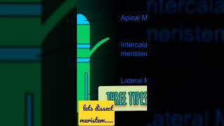 Types of meristems #shorts