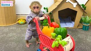 Farmer BiBi goes to harvest fruit to make salad