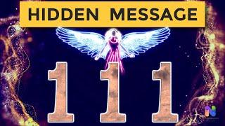 111 Angel Number * READY for New HORIZONS? (Message REVEALED).