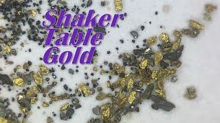 Jasons New Gold Mine S2 Part2: Shaker Table Extraction