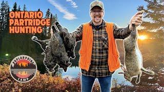 Partridge (Grouse) Hunting Ontario - Amazing Early Season Success