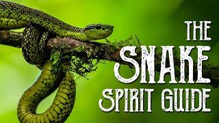 Snake Spirit Guide - Ask the Spirit Guides Oracle - Totem Animal - Power Animal - Magical Crafting