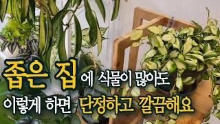 좁은 공간 활용도 높은 인테리어 방법 / 단정하고 깔끔한 플랜테리어 꿀팁