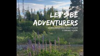 Seven Mile Hill Sanctuary Alaskan Frontier Journey