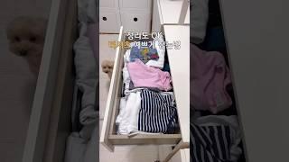 티셔츠 예쁘게 접는법 #살림 #꿀팁 #옷장 #정리 #주부