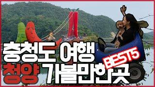 청양 가볼만한곳 BEST5는 어디? (국내여행/충청도)