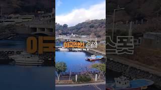 The Photo Spot in Jeju │눈이 가는 곳마다 예쁜 제주 포토 스폿 