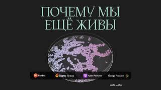 Ошибка природы: как открыли самый загадочный инфекционный агент | Подкаст Почему мы ещё живы