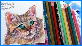 Cat in Watercolor & Colored Pencil SPEEDPAINT