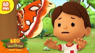 GIANT MOTH ATTACK?!  | Exotic Animals | Leo the Wildlife Ranger | Kids Cartoons