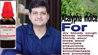 Acalypha indica | Homeopathic Medicine for dry bloody cough & dysentery & hemolysis ?