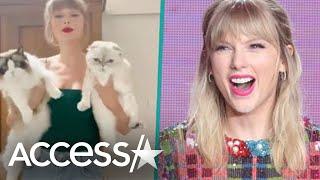 Taylor Swift Embraces Being a Cat Lady In Hilarious TikTok 