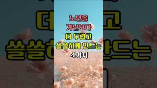 나이들수록 가난보다 더 두렵고 쓸쓸하게 만드는 4가지 #행복한노후생활 #명언 #삶의지혜
