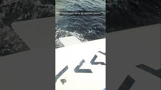 Оверкиль на луче во время гонки! #яхта #швертбот