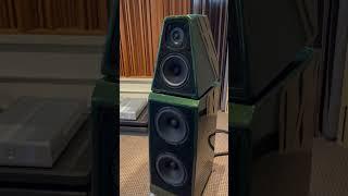 Wilson Audio WATT/Puppy 2024 ( Demo in Showroom ) 1