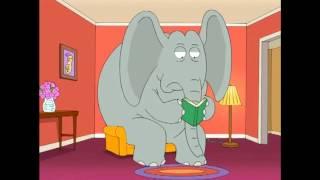 Family Guy Horton hears domestic violence