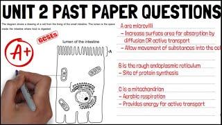 Biology Unit 2 PAST PAPER EXAM QUESTIONS CIE Revision / A* Grade - KS4 Science / IGCSE Biology