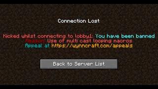 I Was Banned From Wynncraft