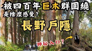 【日本長野戶隱神社】探訪2000多年歷史的戶隱神社，被400年以上的巨木群震撼到！｜打卡絕美戶隱紅葉名所－鏡池｜長野市區順遊千年歷史的善光寺，仲見世通大吃鄉土美食｜品嚐日本三大蕎麥麵的戶隱蕎麥麵