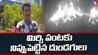 మిర్చి పంటకు నిప్పుపెట్టిన గుర్తుతెలియవి వ్యక్తులు | Thumukunta Village