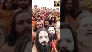 KumbhMela2025!PryagRajKumbh2025 !#shorts #kumbh #maarithinker