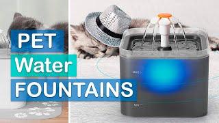 Best Pet Water Fountains 2023 