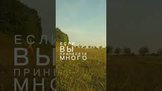 #смысл #мудрость #христианство #библия