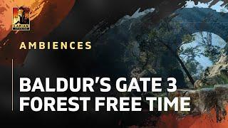 Baldur's Gate 3 Ambiences - Forest Free-Time