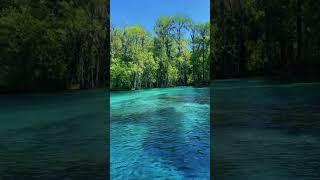 Follow us through the stunning waters of Silver Springs! #GetUpAndGoKayaking #ClearKayaking #VisitFl