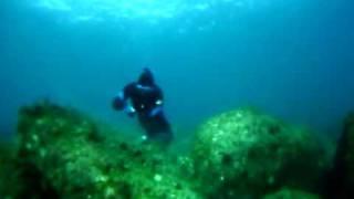 spear fishing; Pulling octopus out of hole part1; Terceira