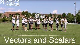 What Are Vectors and Scalars? | Physics in Motion