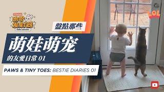 萌娃萌宠的友爱日常01 搞笑合集 / Paws & Tiny Toes: Bestie Diaries01