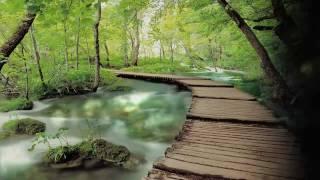 Gayatri Mantra-1.mp4
