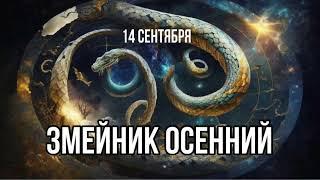 ЗМЕЙНИК ОСЕННИЙ - 14 СЕНТЯБРЯ