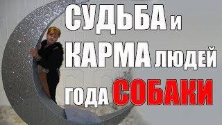 СУДЬБА И КАРМА  ЛЮДЕЙ ГОДА СОБАКИ . ЧАСТЬ 1