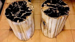 IndoGemstone Petrified Wood Side Table