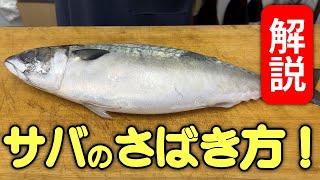 【 解説 】 失敗しない！ サバ の捌き方【 魚捌き方教室 ・ せり人ムタロー 】